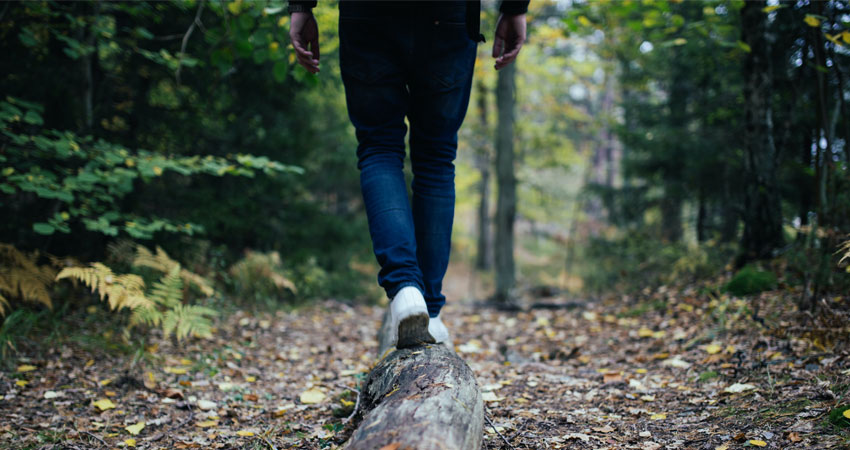 The 17 Best Places to Go Hiking Near Ann Arbor, Michigan