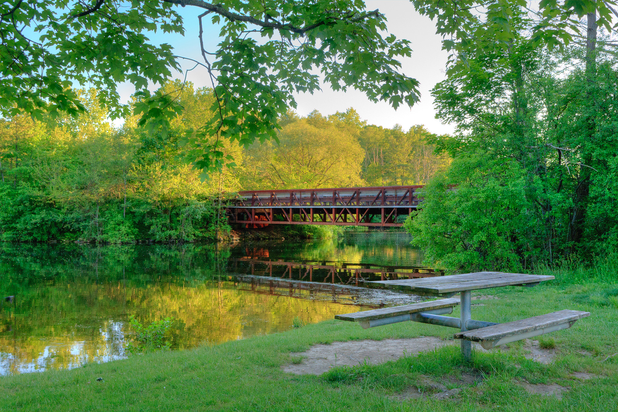Ann Arbor’s Best Spring Hikes and Outdoor Adventures